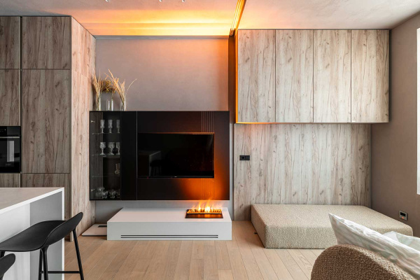 Очаг Cassette 500 PS (без дров)